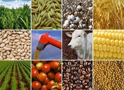 Receita do setor agropecuário terá queda de 1,04% em 2016
