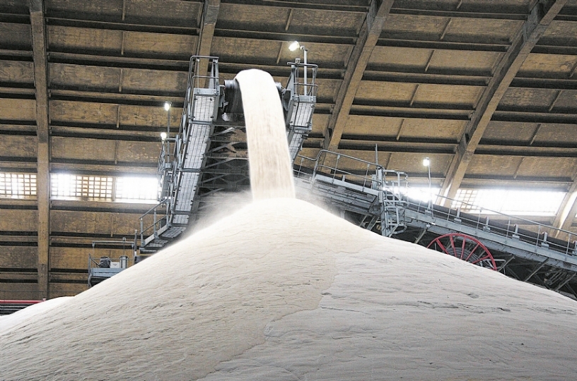 Boletim semanal aponta produção de 1,4 mi de toneladas de açúcar