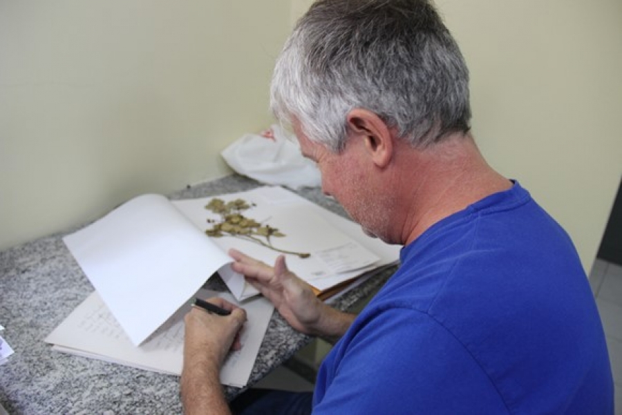 Herbário MAC recebe botânico do Estado de Minas Gerais
