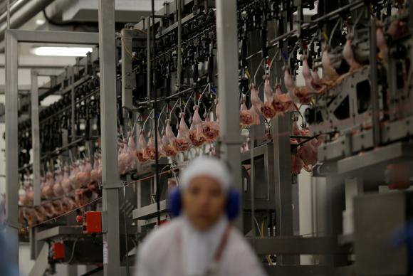 Chile, China e Egito anunciam retomada da importação de carne brasileira