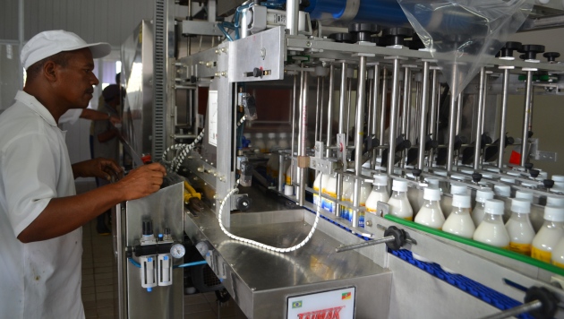Cooperativa Pindorama produzirá óleo de coco extravirgem a partir de junho