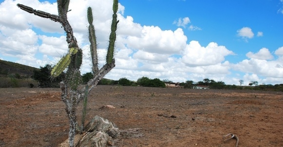 Fetag-AL denuncia que seca castiga agricultores familiares de Alagoas