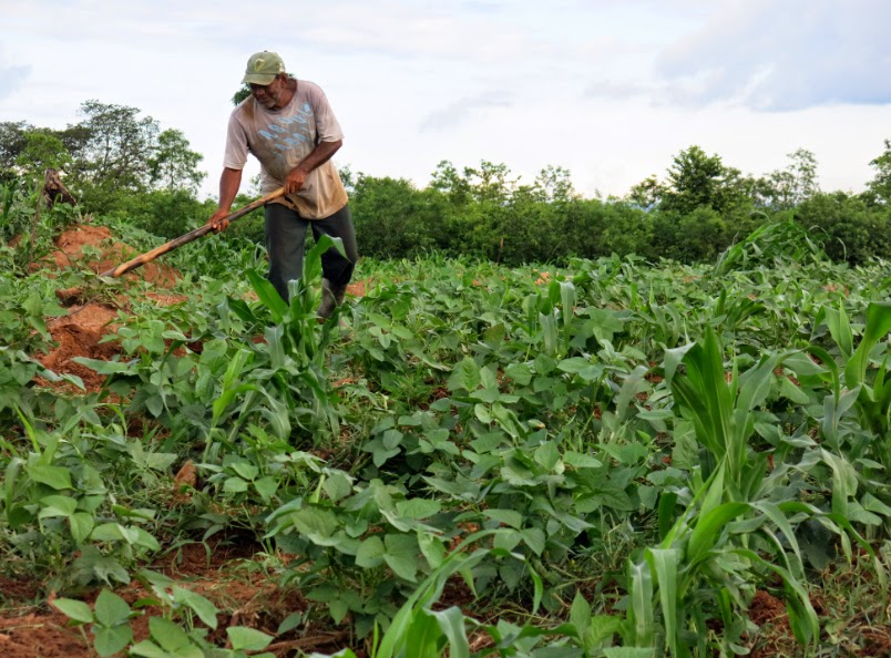 Agricultores recebem mais uma parcela do Seguro Garantia-Safra