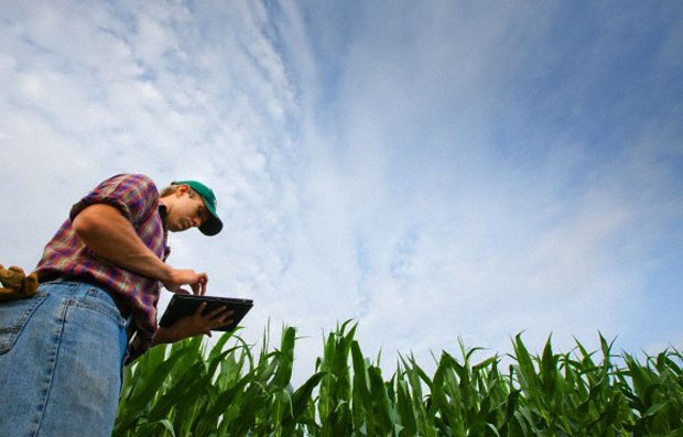 Senado aprova projeto que facilita acesso do produtor rural ao crédito