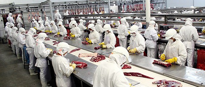 Exportação de carne para os EUA pode ser retomada em até 60 dias, diz ministro