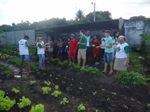 Jovens de Pindorama concluem módulo de curso em hortaliças