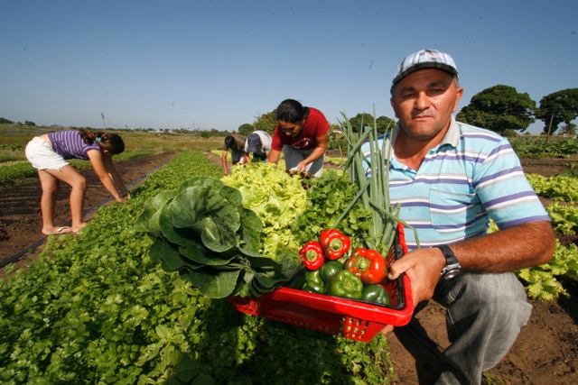 Projeto Brasil Mais Cooperativo beneficia agricultores familiares