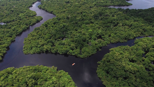 Justiça do DF suspende decretos que acabam com reserva na Amazônia
