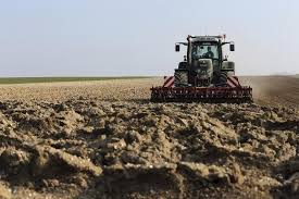 EUA avaliam impor restrições a herbicida ligado a danos às lavouras