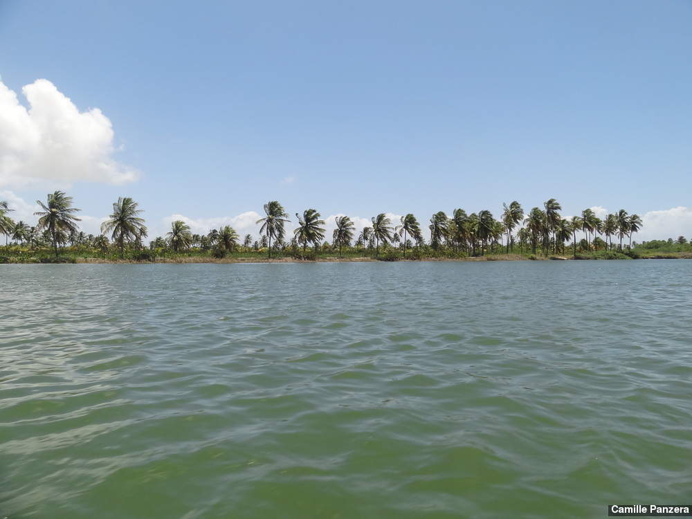 Ibama solicita embarcação à Marinha para vistoriar margens Rio São Francisco