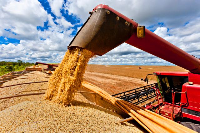 IBGE estima queda de 8,9% na safra de grãos em 2018