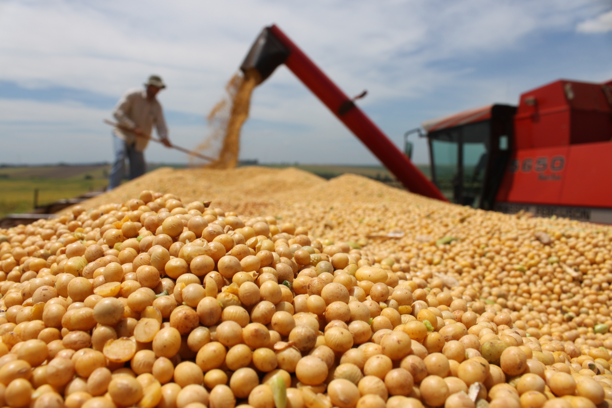 Plantio de soja no Brasil chega a 73% da área e elimina atraso