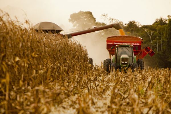 2017: Ano excepcional na produção agrícola brasileira