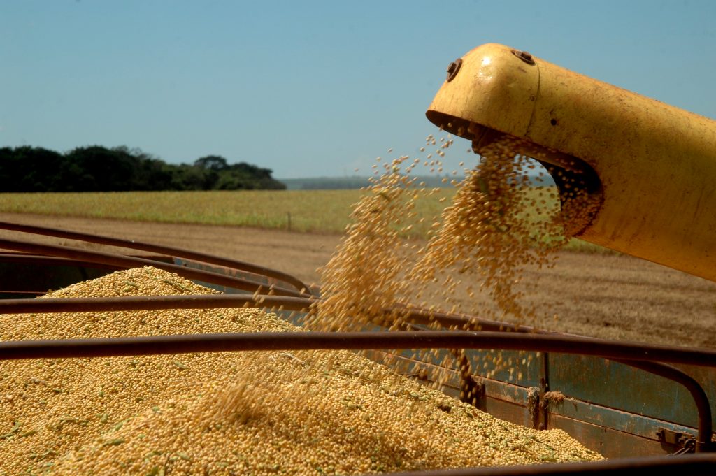 Brasil deve produzir 110,1 milhões de toneladas de soja