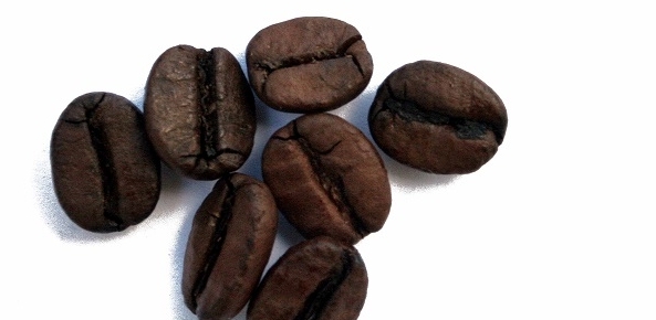 Exportação de café cresceu 25% em receita para árabes