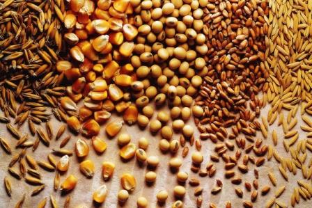 Safra de grãos poderá atingir 227,9 milhões de toneladas em 2017/2018