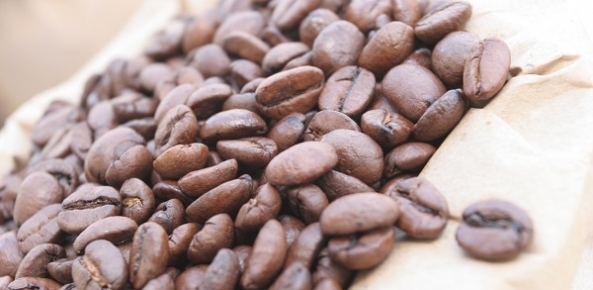 Tecnologia aumenta a produtividade do café no Brasil