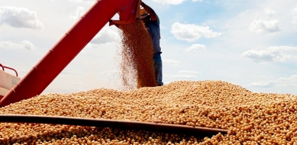 Brasil deve produzir recorde de 115,6 mi t de soja em 2017/18, diz Safras
