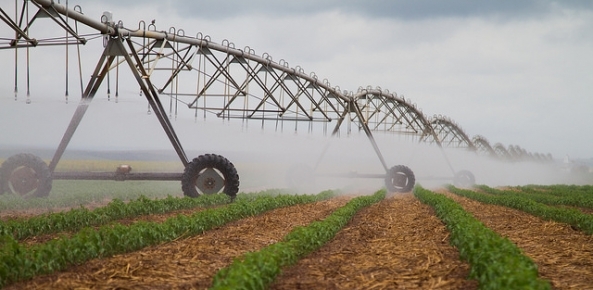 Brasil tem potencial para duplicar áreas irrigadas
