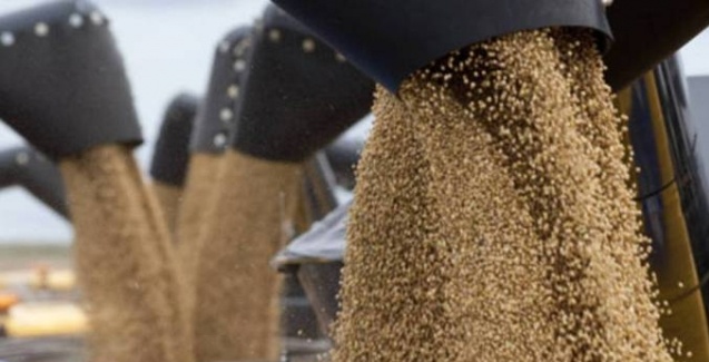Safra recorde de grãos impulsiona melhor resultado da história para o PIB do Setor Agropecuário