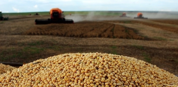 Aumentaram as exportações brasileiras de farelo de soja