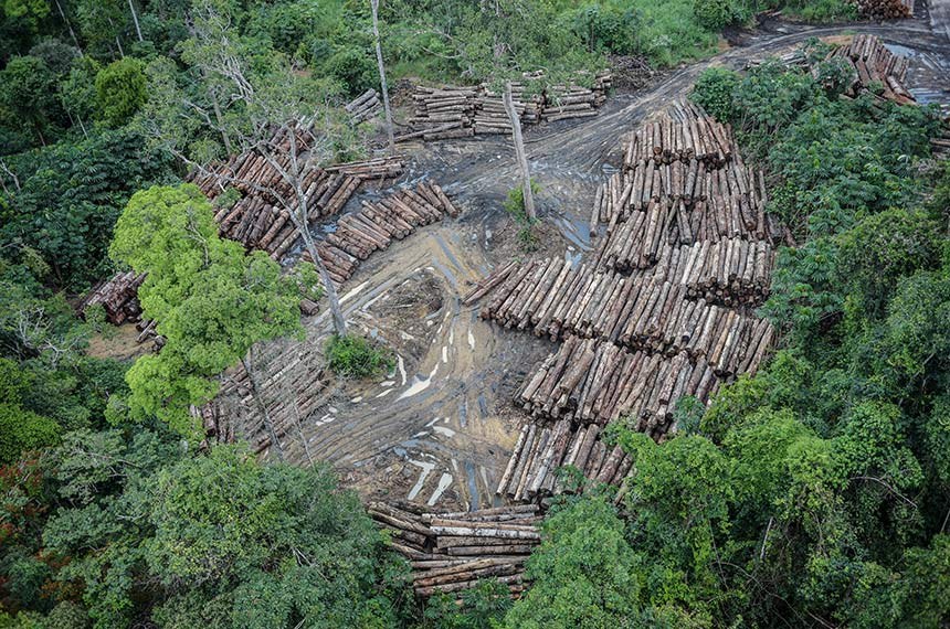 Comissão debate novo modelo de desenvolvimento para Amazônia