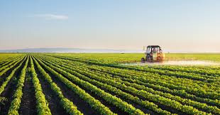Valor da Produção Agropecuária de 2018 é estimada em R$ 530,1 bilhões