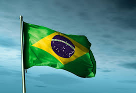 Brasil eleito para Comitê sobre Organizações Não Governamentais da ONU