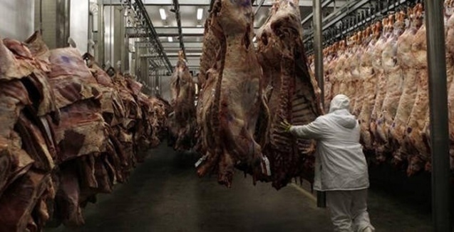 Brasil já deixou de exportar US$ 60 milhões em carnes por causa de greve
