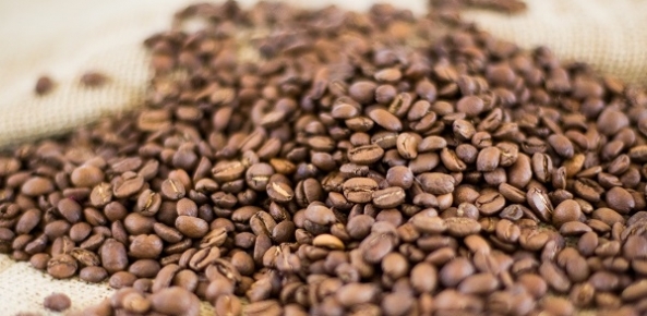 Produção de café será recorde em 2018
