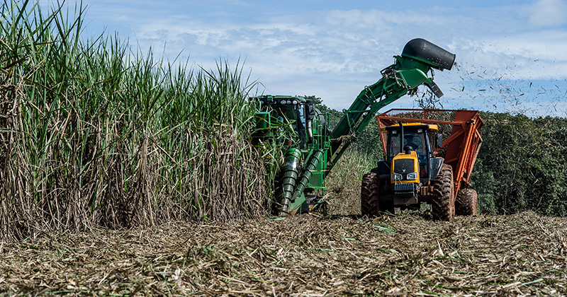 Presidente do Sindaçúcar-AL aposta na retomada do setor canavieiro