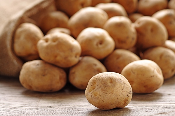 Em uma semana, preço do kg de batata passa de R$ 1,61 para R$ 17,50 em alguns estados
