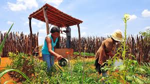 Produtores de Piaçabuçu são capacitados no programa Negócio Certo Rural