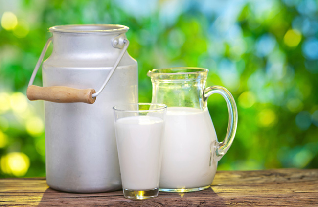 Pequenos produtores de leite de AL recebem testes mensais de qualidade
