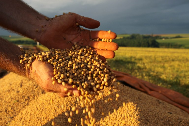 Safra de grãos deve alcançar 228,5 milhões de toneladas