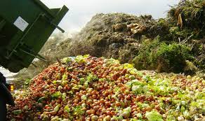 Embrapa e parceiros iniciam a implementação da estratégia de combate ao desperdício de alimentos no país