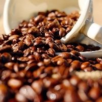 Brasil exporta 3,4 milhões de sacas de café em agosto