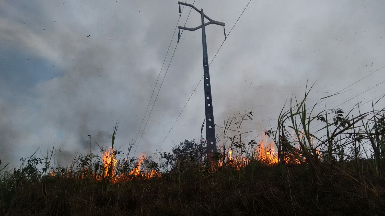 Equatorial inicia campanha de combate a queimadas próximas à rede elétrica