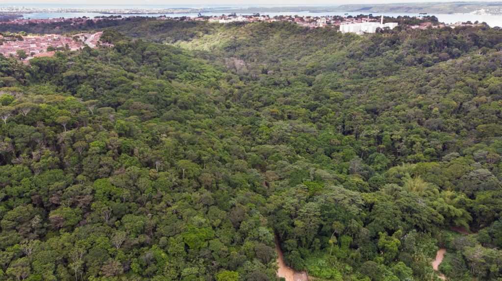 Alagoas amplia reservas ambientais