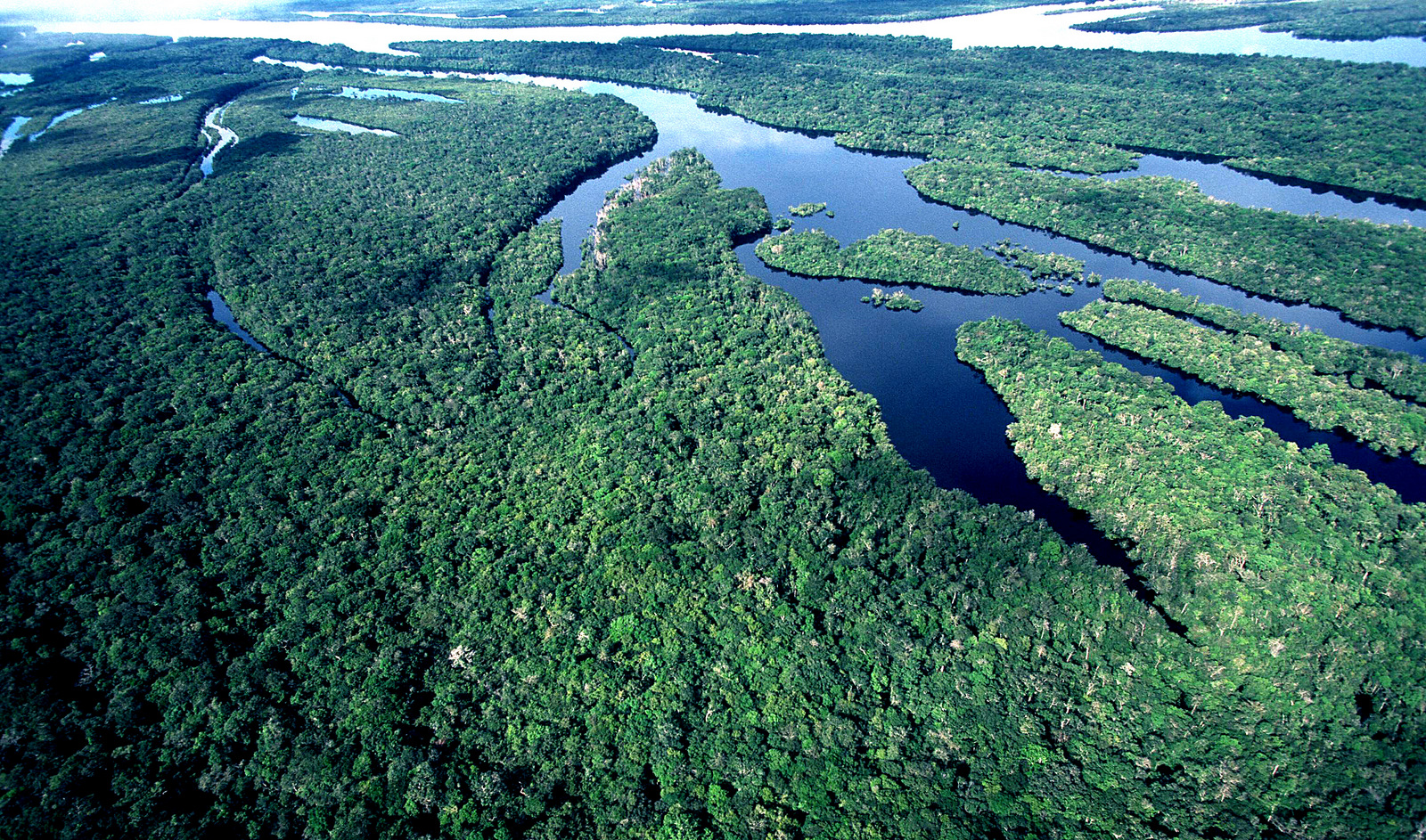 Pesquisa de conservação da Amazônia ganha prêmio nacional