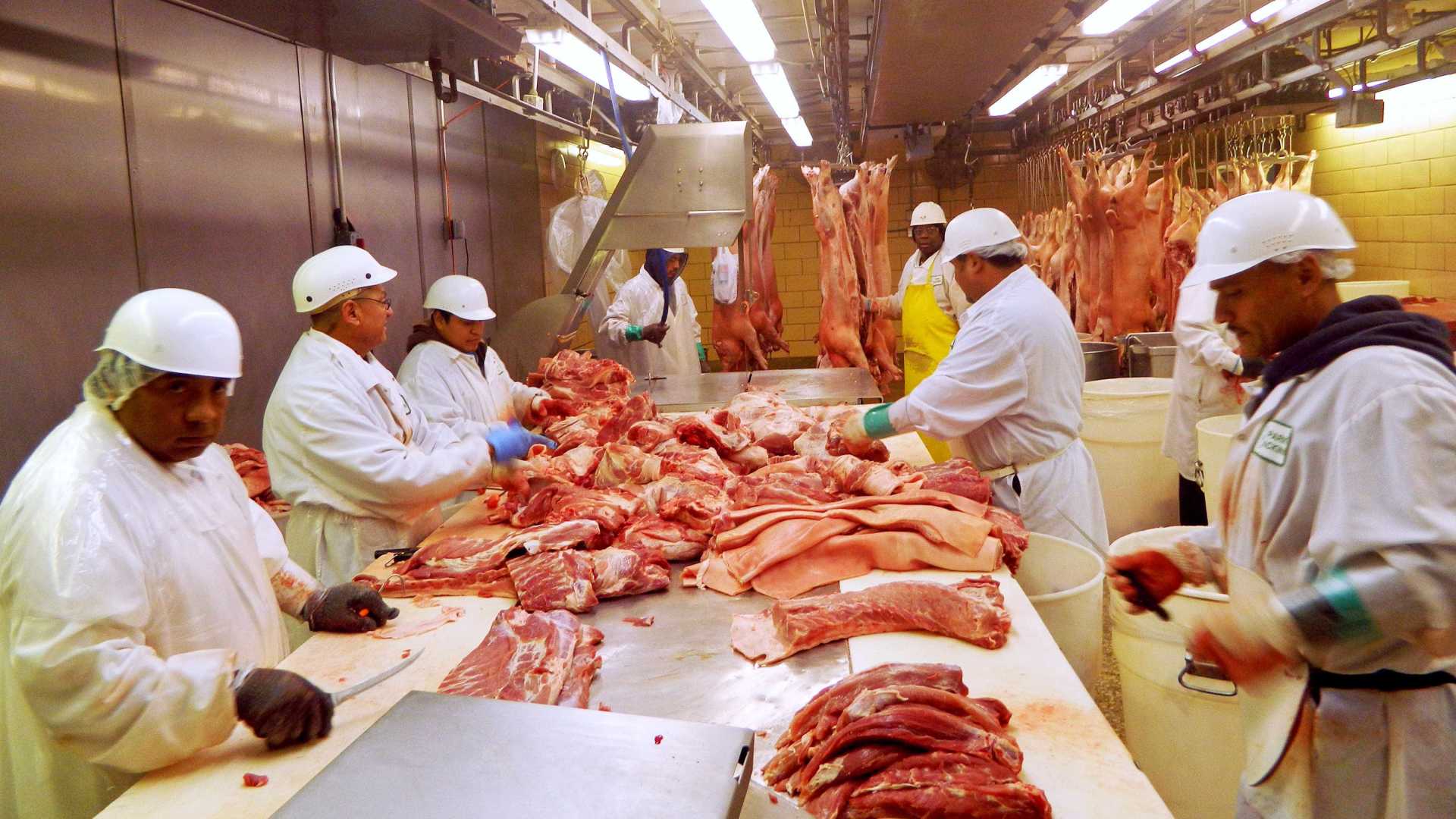 Mundo tem que reduzir consumo de carne para alimentar 10 bi em 2050