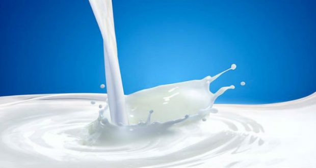 Governo deve pagar produtores do programa do leite a partir desta quinta (28)