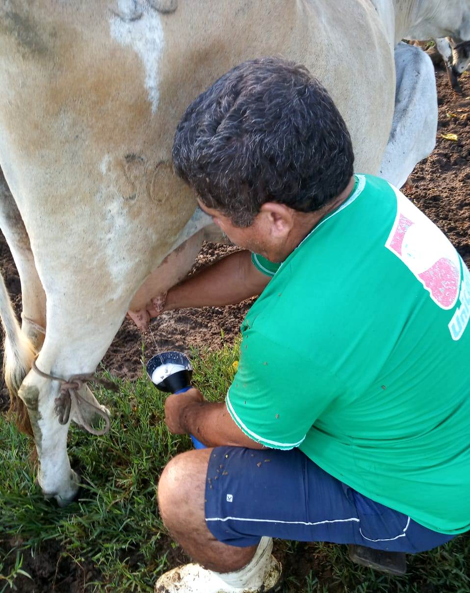 CPLA comemora conquistas dos produtores de leite