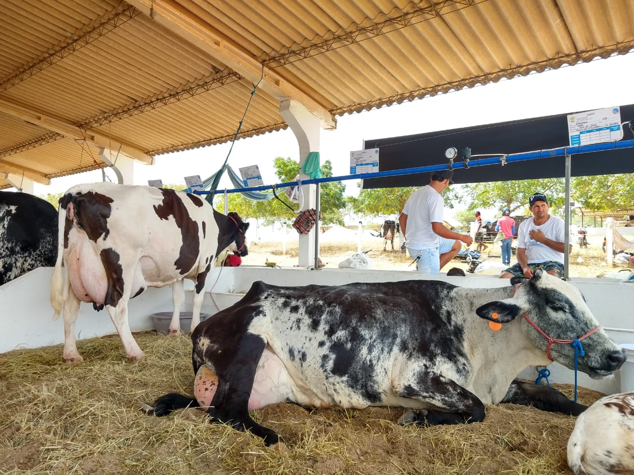 37º Expo Bacia Leiteira supera expectativas do setor