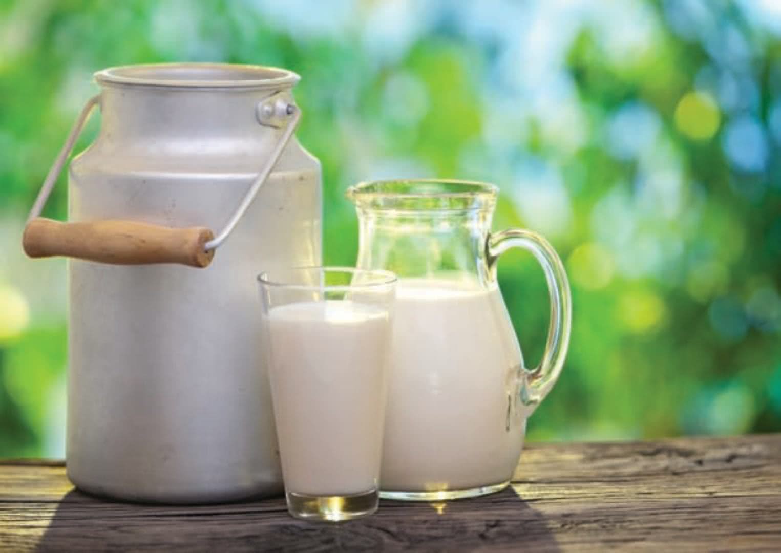 Preço do leite ao produtor registrou a quinta alta consecutiva em maio