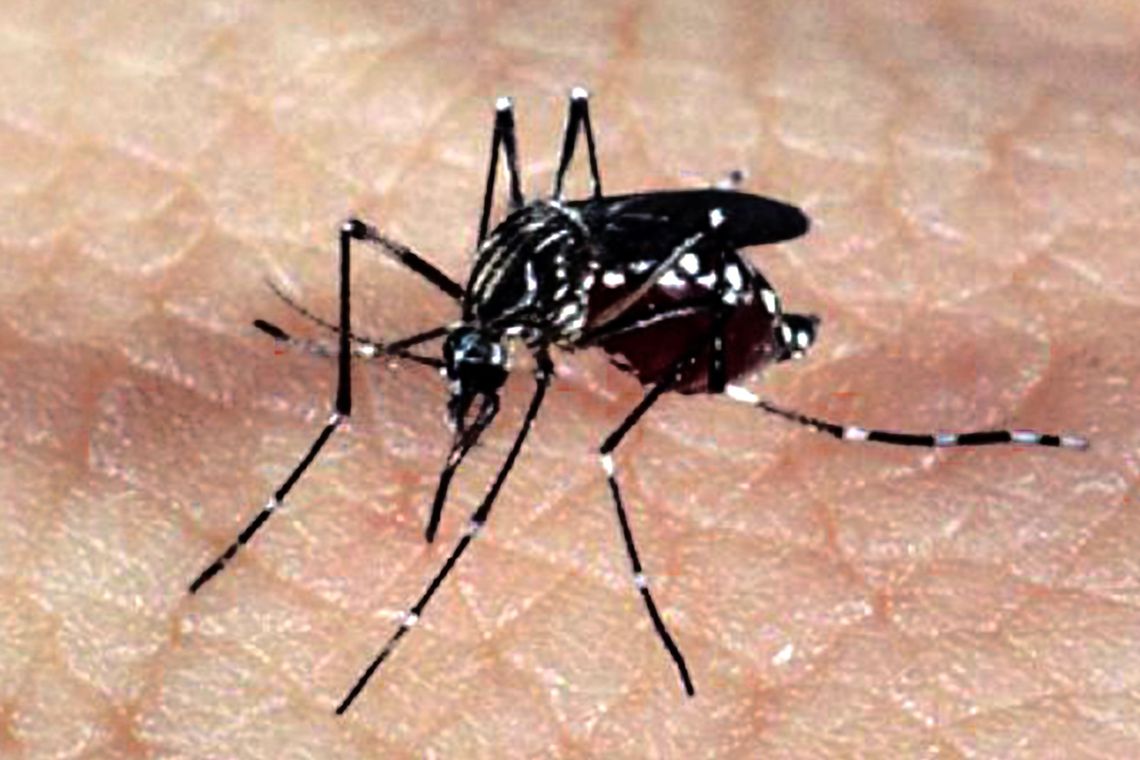 Moradores denunciam surto de dengue em povoado