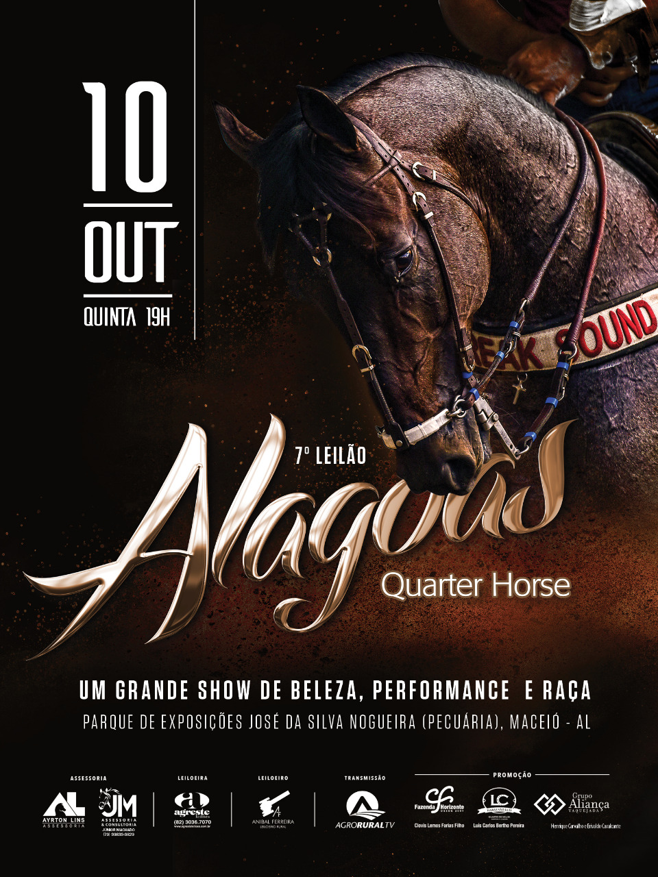Catálogo do 7º Alagoas Quarter Horse está disponível na internet