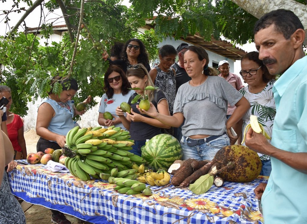 Prefeitura de Maceió divulga Chamada Pública para agricultura familiar
