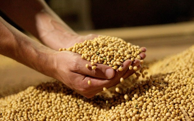 Safra mundial de soja vai crescer 7,6%